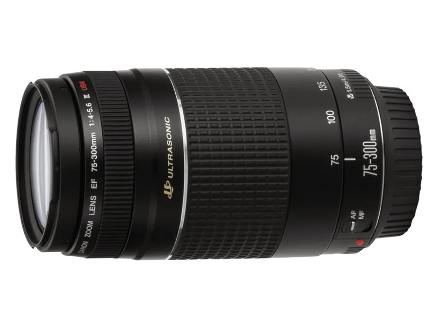 Устранение механических повреждений Canon EF 75-300 f/4-5.6 III USM