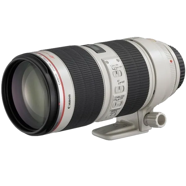 Устранение механических повреждений Canon EF 70-200 f/2.8L USM