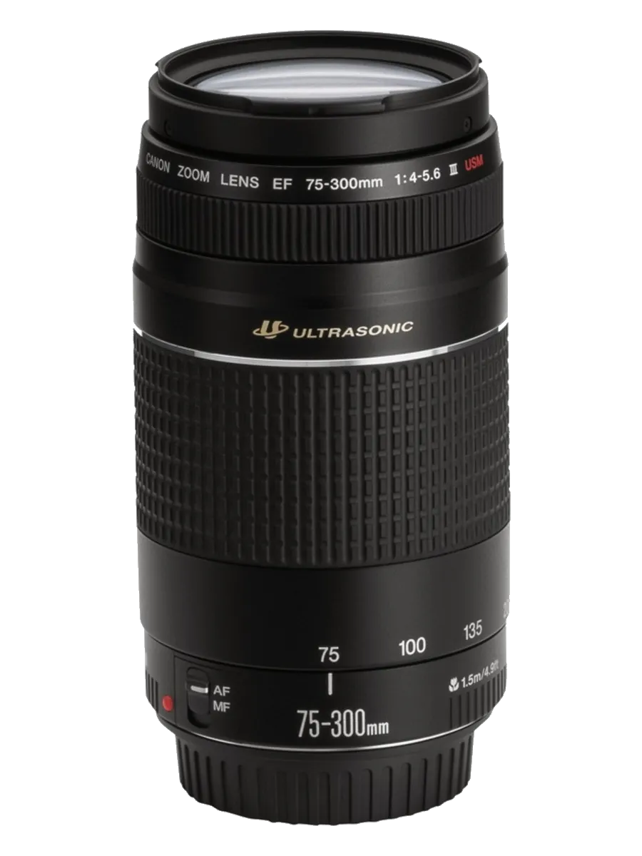 Устранение механических повреждений Canon EF 75-300 f/4-5.6 III
