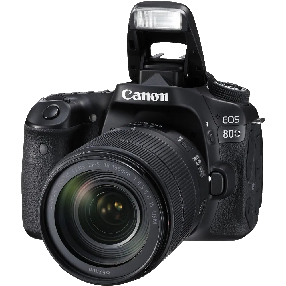 Комплексная чистка Canon EOS 80D