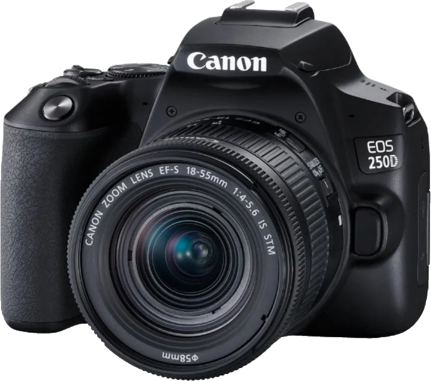 Комплексная чистка Canon EOS 250D Kit 18-55mm IS STM