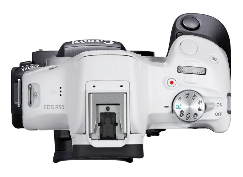 Комплексная чистка Canon EOS R50 V